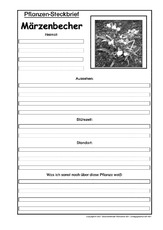 Pflanzensteckbrief-Märzenbecher-SW.pdf